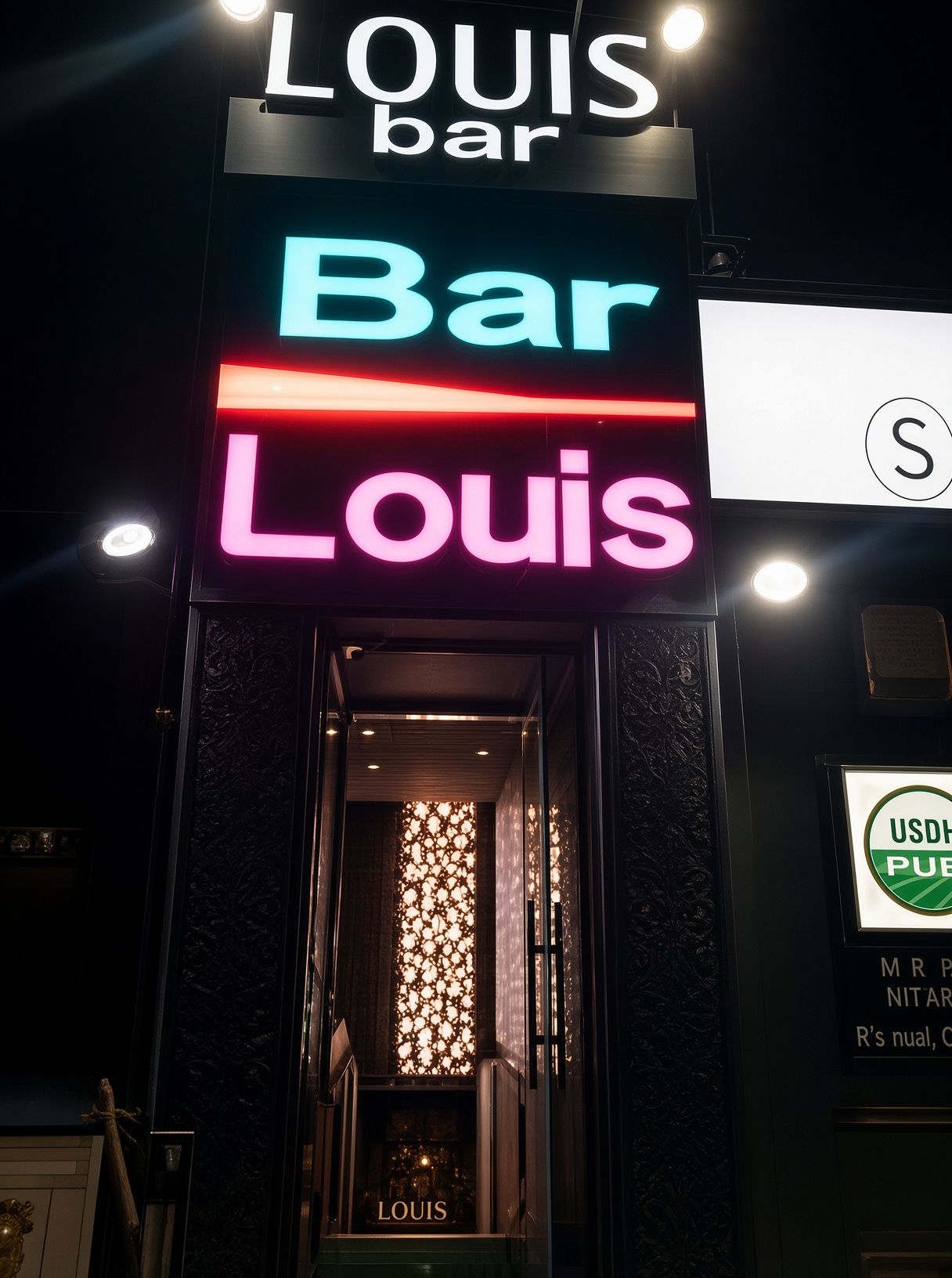 강남 루이스 · Louis와 Bar 조명 간판 아래 어두운 출입 통로와 장식 문이 보입니다.